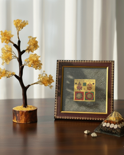 Triple Wealth & Protection Kit